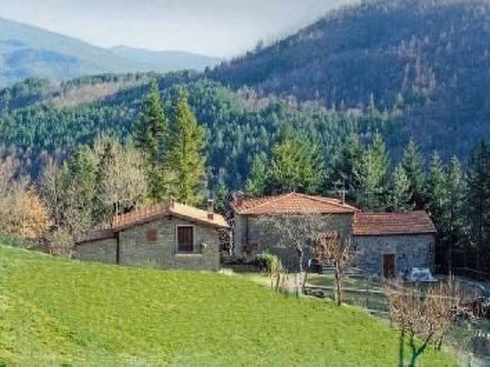 Appartamento per 5 persone, con piscina e giardino, con animali domestici a Bibbiena