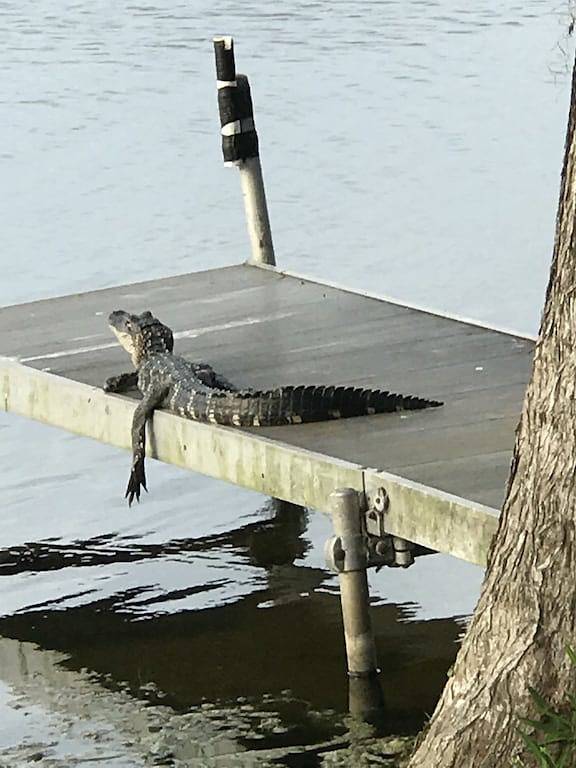 Cottage for 6 people, with hot tub and terrace in Florida