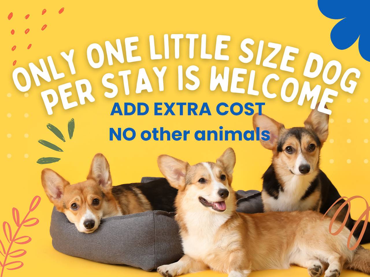 Ganze Wohnung, Lago Maggiore holiday house mit Panoramablick in Vignone (Dumenza), Dumenza Gemeinde