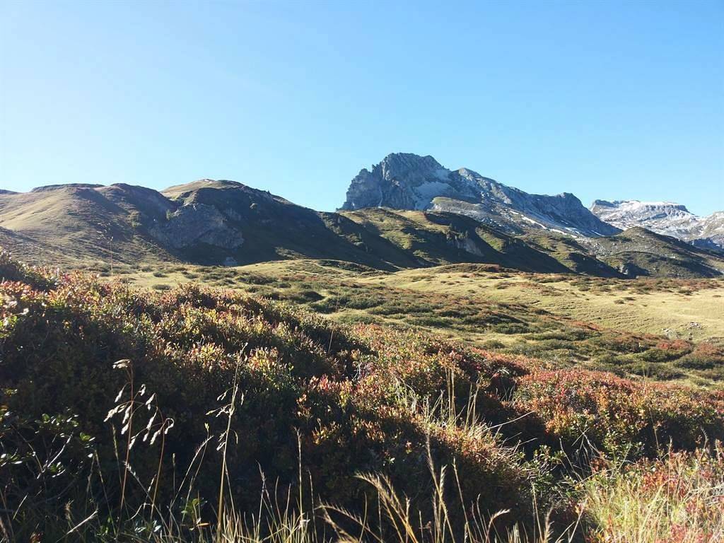 Appartement/Fewo, Dusche und Bad, Wc, 2 Schlafräum in Göriach, Bundesland Salzburg