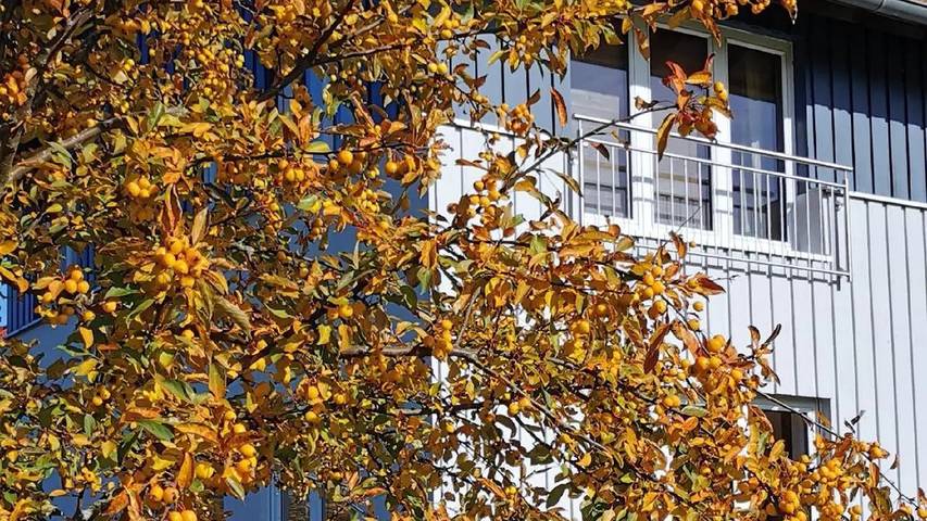 Ferienwohnung für 2 Personen, mit Garten, mit Haustier in Hilders - 3