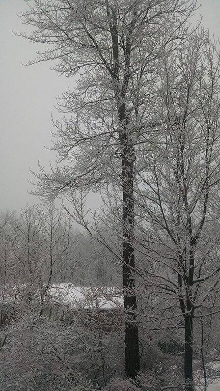 Vacation rental for 10 people, with pool and terrace in Seven Springs