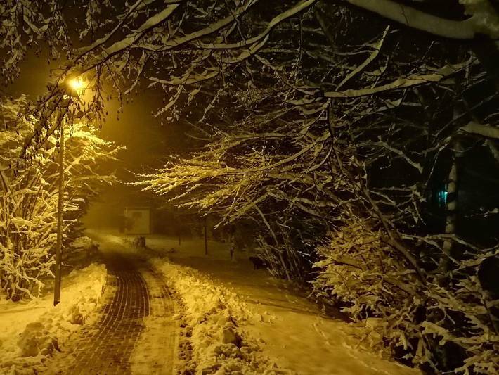 Ferienwohnung für 4 Personen, mit Terrasse und Pool im Harz - 3