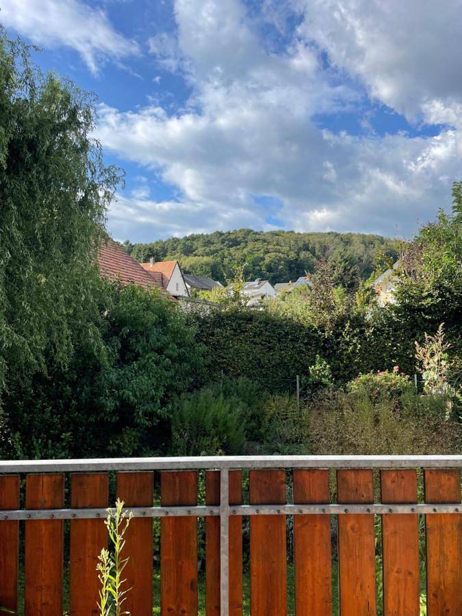 Ferienwohnung für 5 Personen, mit Balkon und Terrasse in Oberotterbach - 3