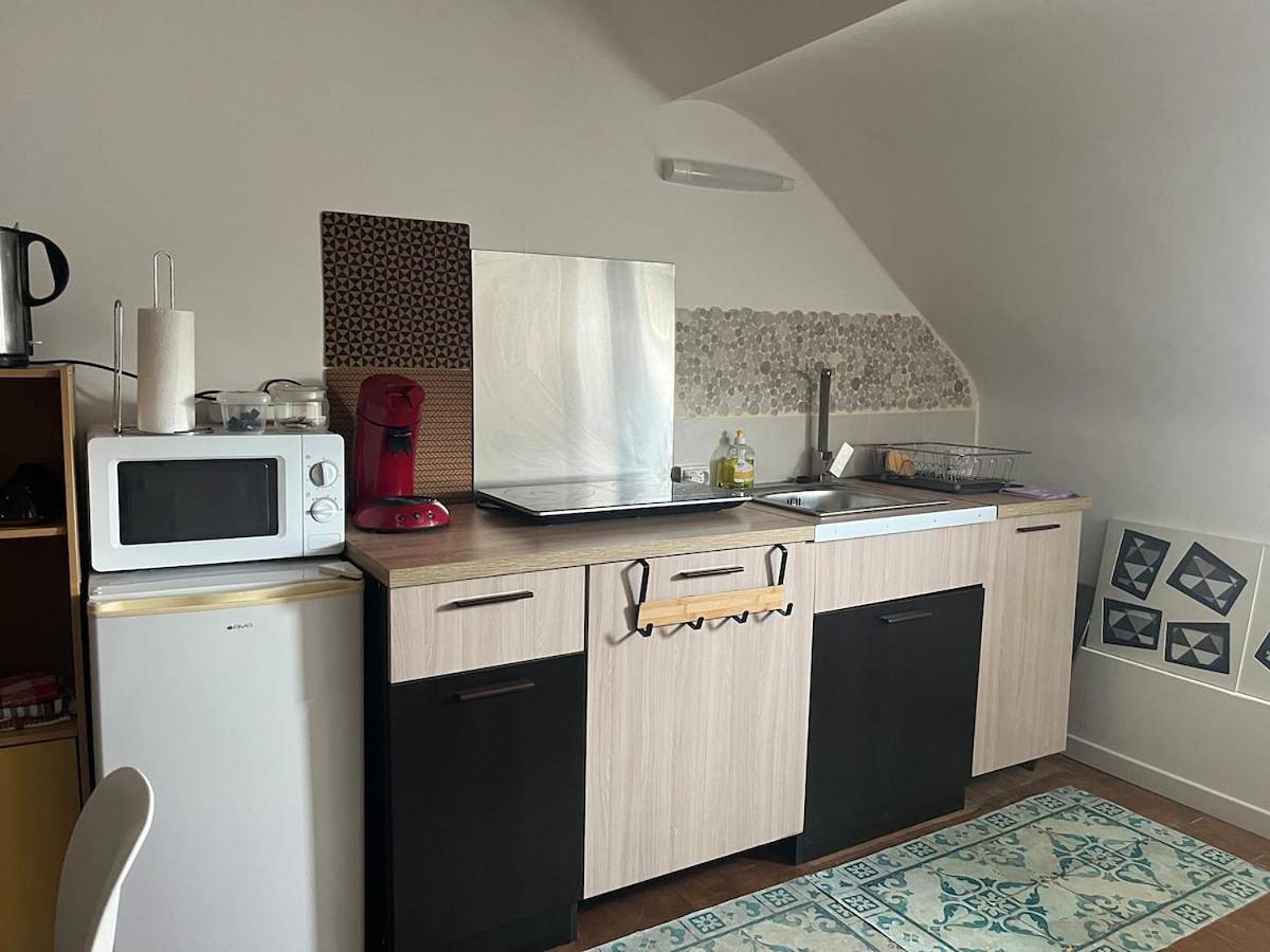 Appartement entier, Apartment in Villedieu-sur-Indre, Région de Châteauroux