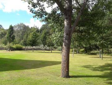 Ferienpark für 10 Personen in Karlshagen, Usedom, Bild 4