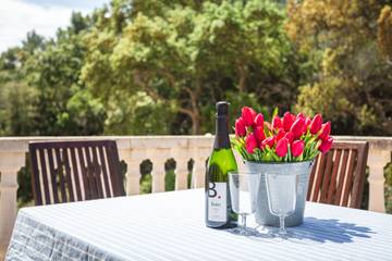 Vakantiehuis voor 8 Personen in Tossa de Mar, Costa Brava, Afbeelding 2