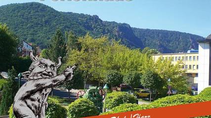 Ferienhaus für 4 Personen, mit Terrasse und Garten im Harz