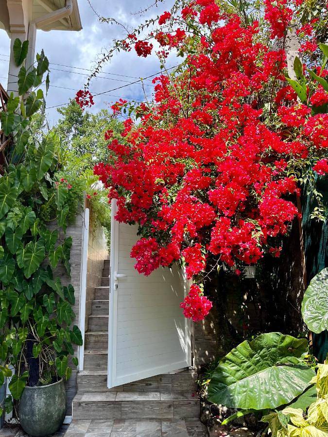 Casa de vacaciones para 5 personas, con vistas y jardín - 1