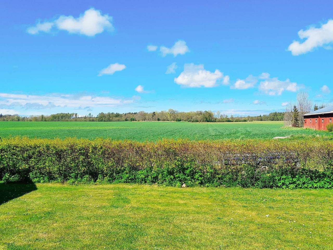 4 Sterne Ferienhaus in Gotlands Tofta in Gotland