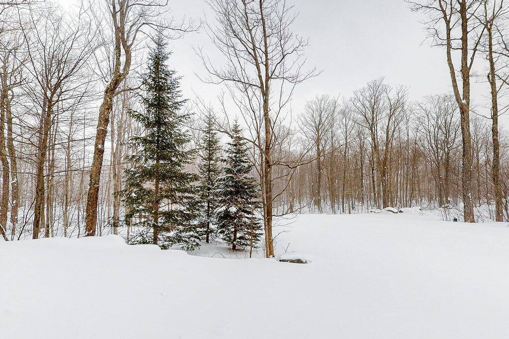 Ganze Wohnung, Ski-in/ski-out mountain-view condo next to Grammy Jay trail w/ board games, W/D in Jay Peak