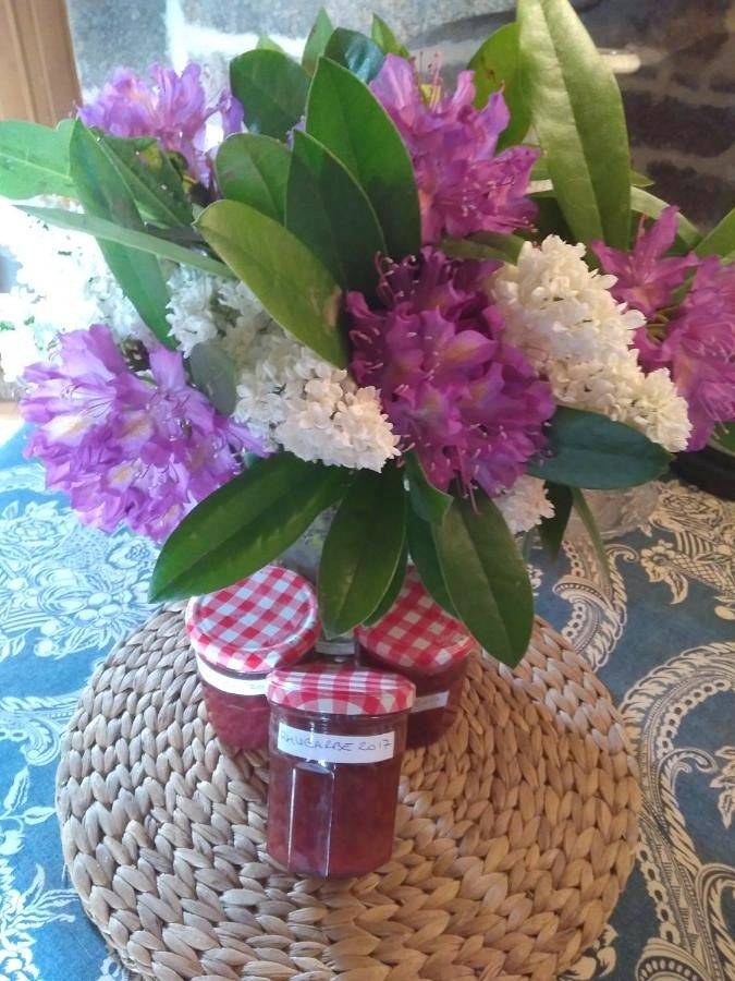 Location de vacances pour 2 personnes, avec vue et jardin à Ploubezre - 4