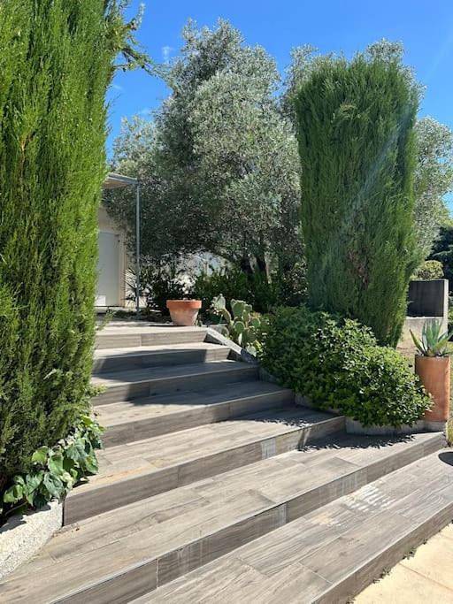 Location de vacances pour 12 personnes, avec jardin ainsi que piscine et vue, animaux acceptés à Villemoustaussou - 2