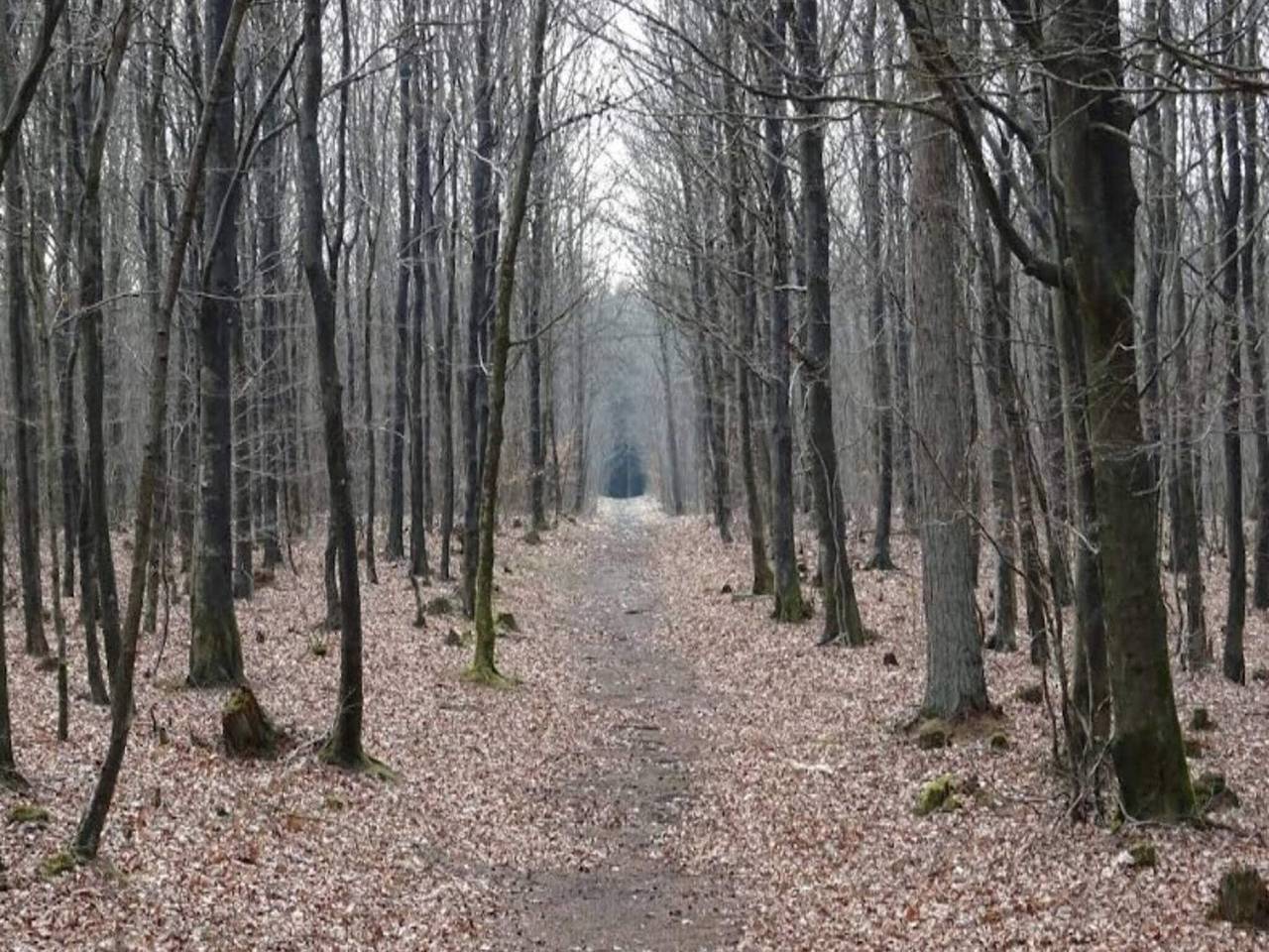 Retraite de luxe avec spa in Hummingen, Dannemare