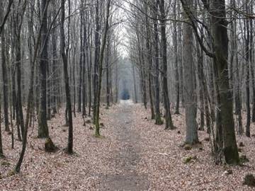 Ferieudlejning til 8 Personer i Dannemare, Lolland, Billede 2