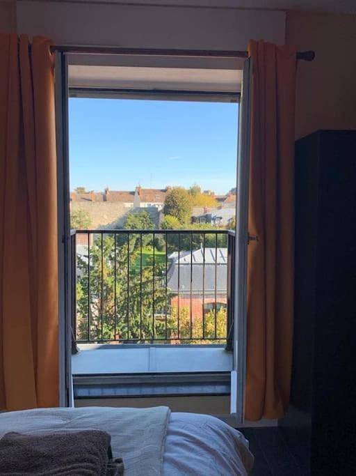 Appartement entier, One-Bedroom Apartment in Fontainebleau, Seine-et-Marne