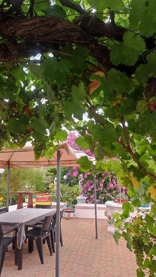 Gîte pour 5 personnes, avec jardin à Antonelli - 2