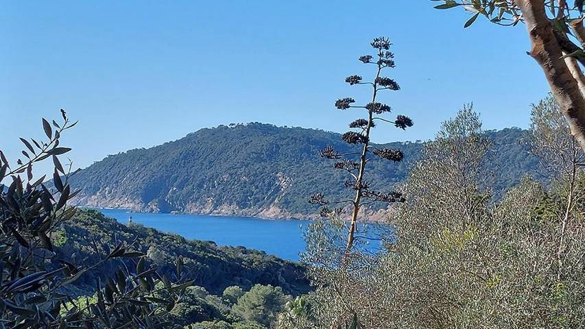Gîte pour 6 personnes, avec vue et jardin dans Île du Levant - 3