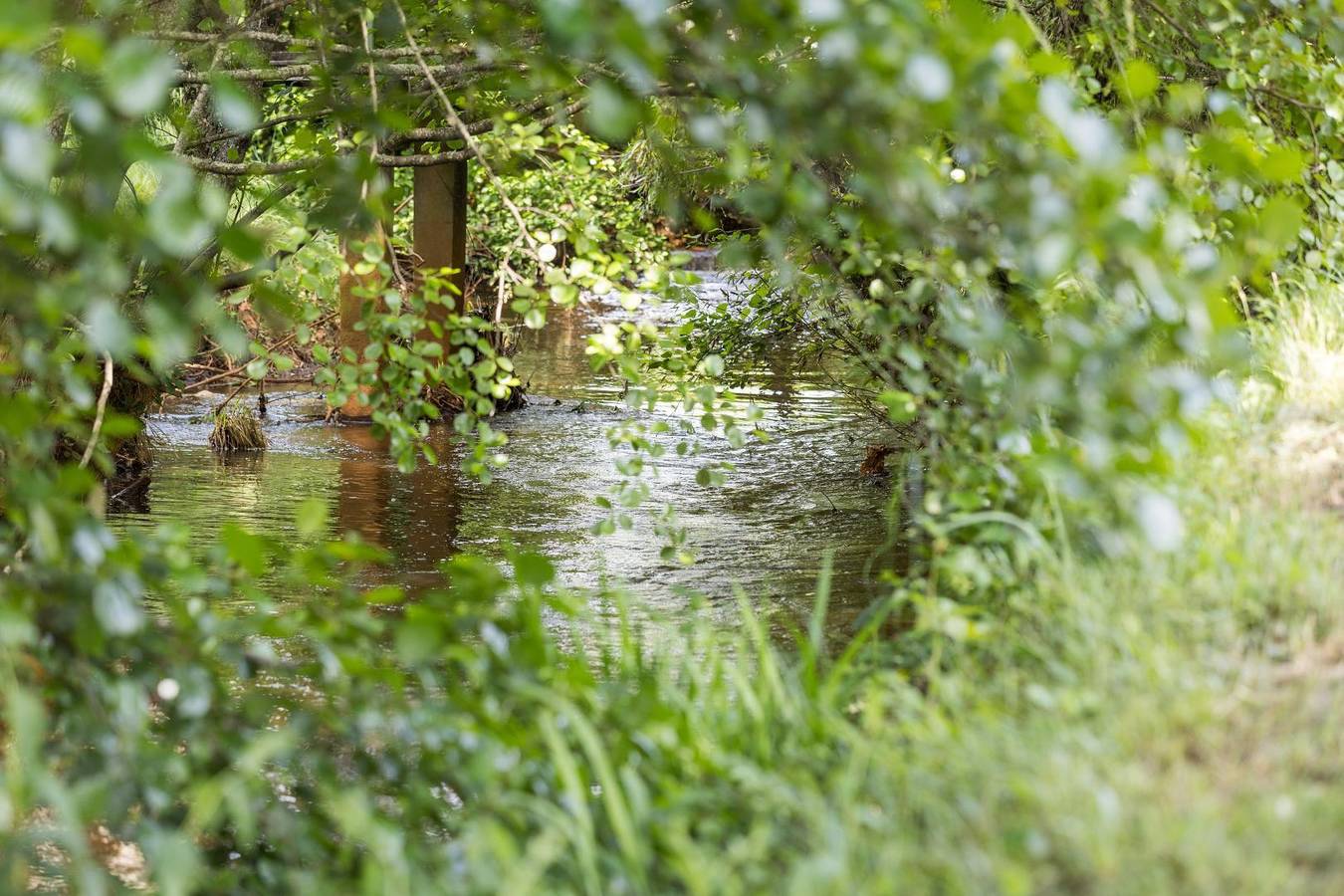 Le repère du forestier in Sabres, Landes