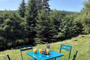 Appartement De Vacances pour 2 Personnes dans Chalmazel-Jeansagnière, Parc Naturel Régional Livradois-Forez, Photo 4