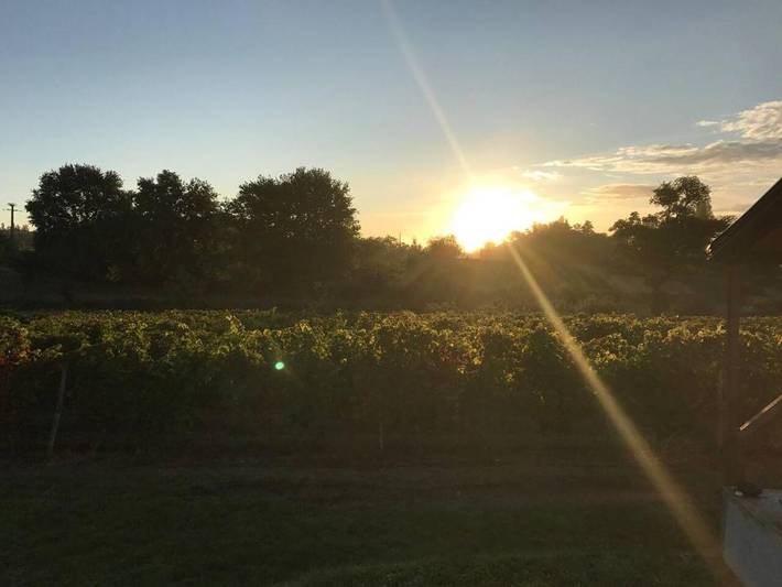 Location de vacances pour 4 personnes, animaux acceptés à Saint-Ciers-sur-Gironde - 2