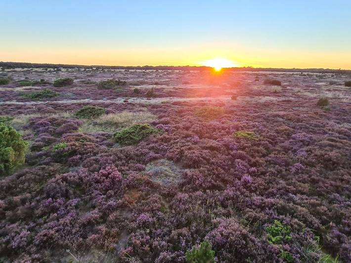 Ferienhaus für 12 Personen, mit Sauna und Terrasse, kinderfreundlich in Øster Hurup - 4