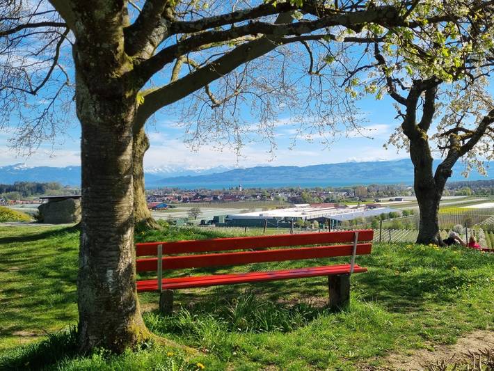 Ganze Ferienwohnung, Mf Feriendomizil am Bodensee - Ferienwohnung "Stella", 38 qm, 2 Schlafzimmer, max. 4 Personen in Kressbronn am Bodensee, Region Bodensee-Oberschwaben