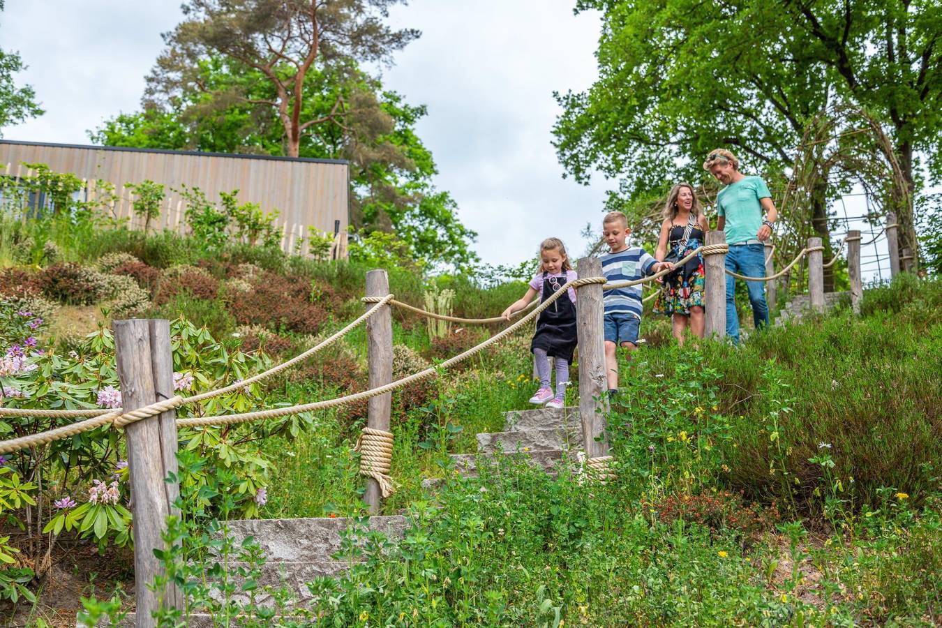 Europarcs Maasduinen — Fin Maison Sauna 4 in Limburg
