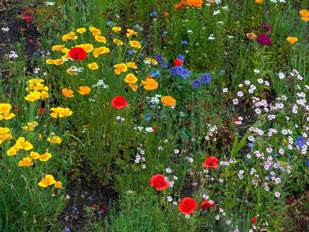 Ganze Ferienwohnung, Apartments Weberhof - Studio-Apartment in Karawanken und Bachergebirge, Villach