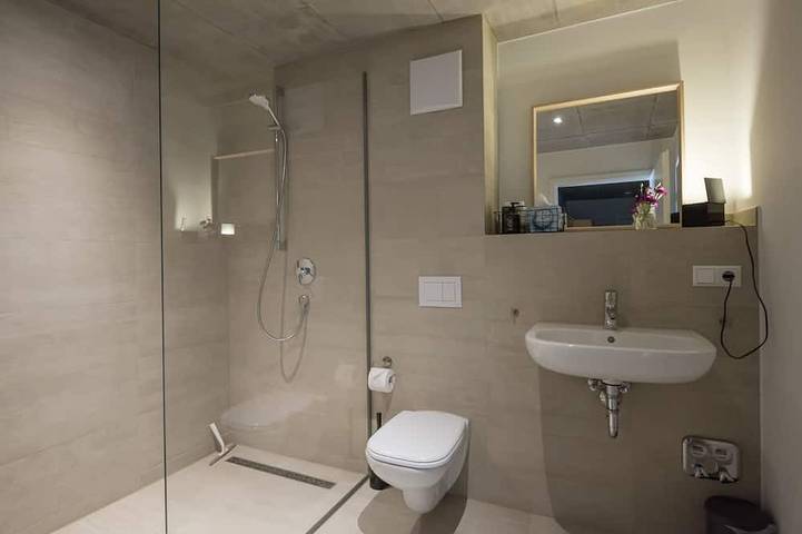 Ganze Wohnung, Friz 6, Apartment im Loft-Stil in Gundelfingen, Südschwarzwald