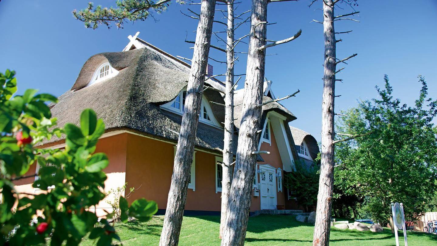 Ganze Wohnung, Apartment mit Meerblick, Parkplatz und Balkon, 1,5 km zum Strand in Ahrenshoop, Fischland