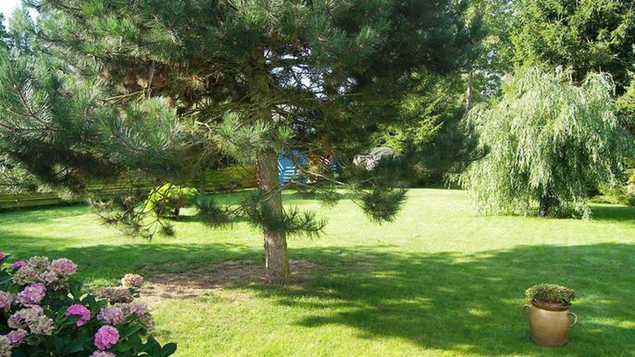 Ganze Ferienwohnung, Ferienwohnung für 4 Personen (47 m²) in Krummin in Krummin, Usedomer Norden