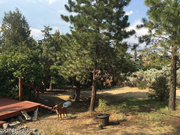 Gîte pour 4 personnes, avec terrasse et jardin à Wapiti