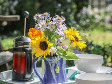 Cottage for 2 People in Bere Ferrers, Devon, Photo 2
