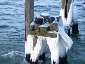 Ferienpark für 6 Personen in Koserow, Usedom, Bild 2