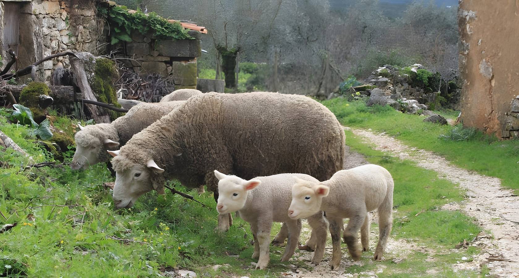 Casa da Eira: Casa de vacaciones con vistas a la montaña, Wi-Fi y aire acondicionado in Redinha, Leiria District
