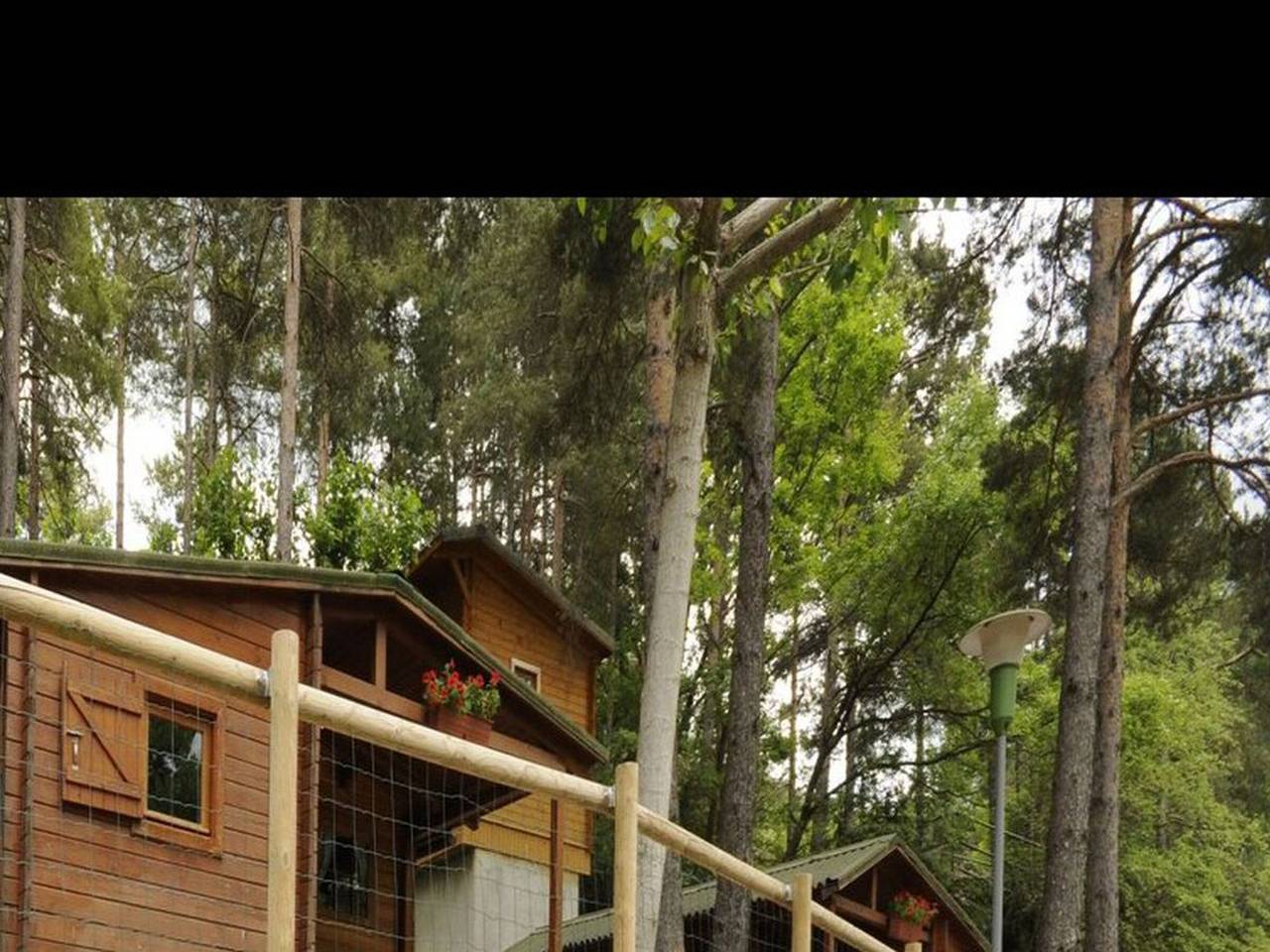 Acogedor bungalow, mascotas permitidas - 4 pers. in Saldes, Pirineo Catalan