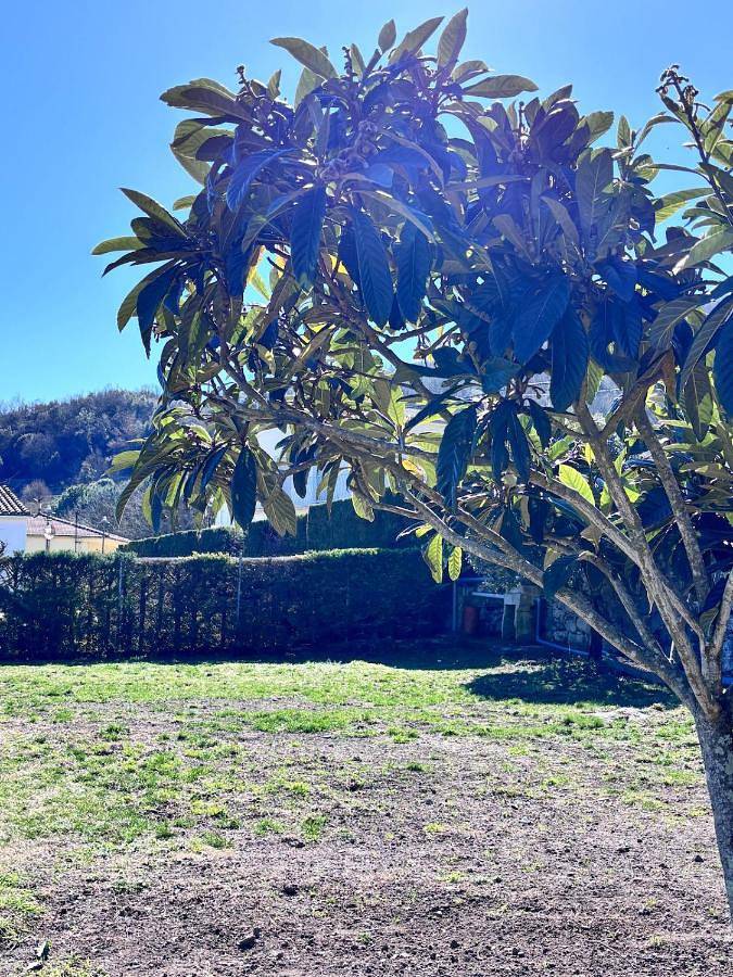 Casa rural para 10 personas, con vistas además de jardín y piscina, Se admiten mascotas en Las Planas - 3