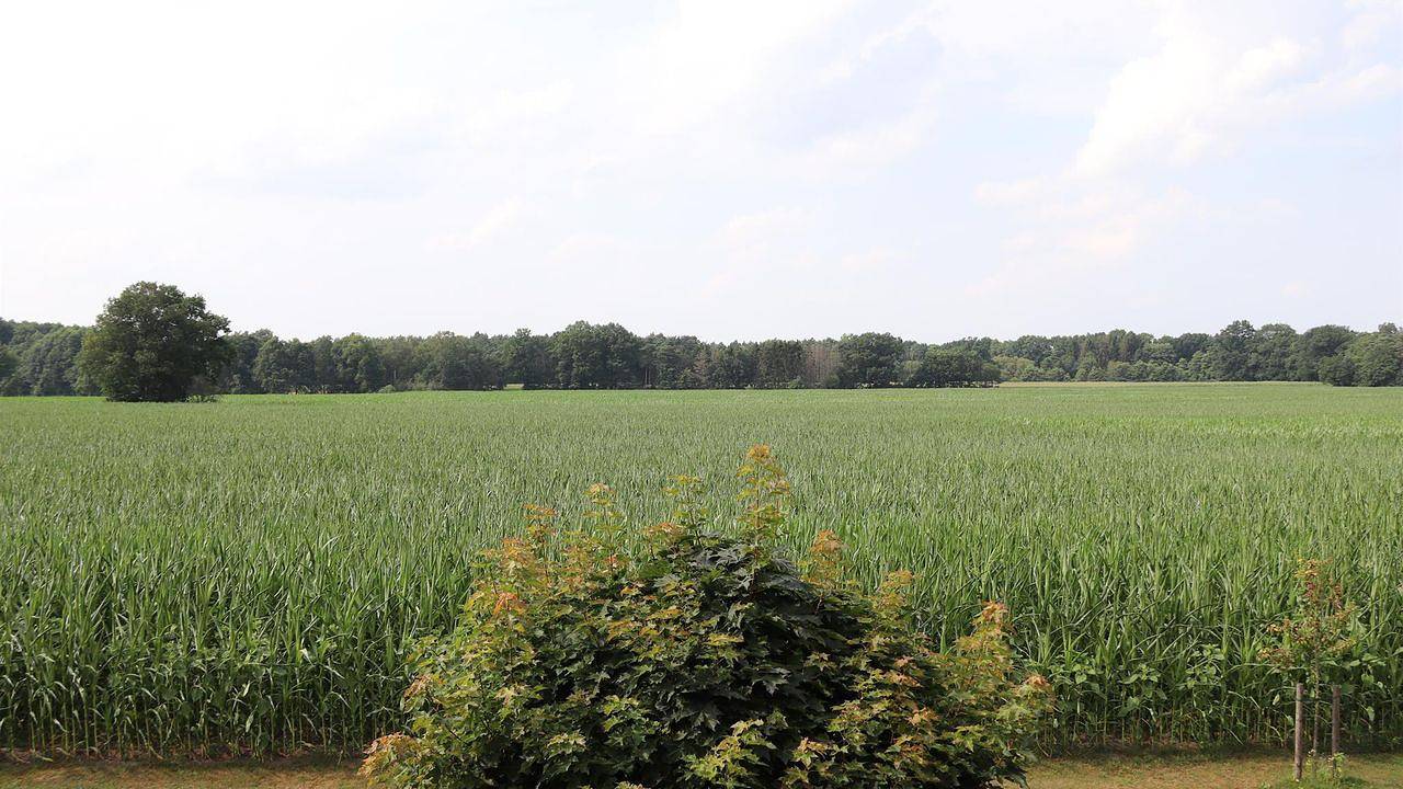 Ganze Ferienwohnung, Ferienwohnung für 4 Personen (78 m²) in Neuenkirchen in Neuenkirchen (Lüneburger Heide), Landkreis Heidekreis