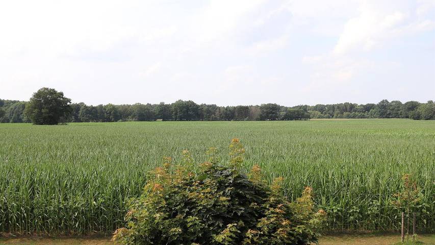 Ferienwohnung für 4 Personen, mit Haustier in Landkreis Heidekreis - 2