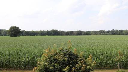 Ferienwohnung für 4 Personen in Neuenkirchen (Lüneburger Heide), Landkreis Heidekreis, Bild 1