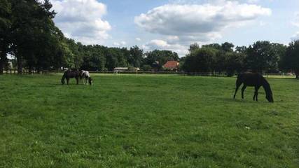Ferienwohnung für 6 Personen in Lindwedel, Landkreis Heidekreis, Bild 4