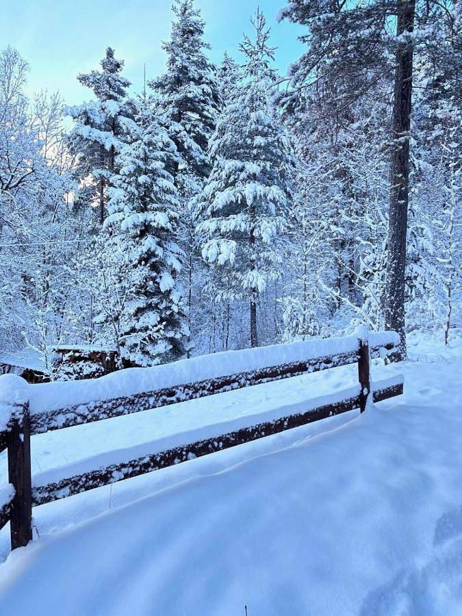 Gîte pour 6 personnes, avec terrasse et vue, animaux acceptés à Colmars - 4