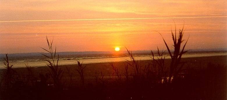 Manoir La Lagune - Ferienhaus mit Blick auf die Gironde - Medoc - Frankreich - Atlantik in Bégadan, Région de Lesparre-Médoc