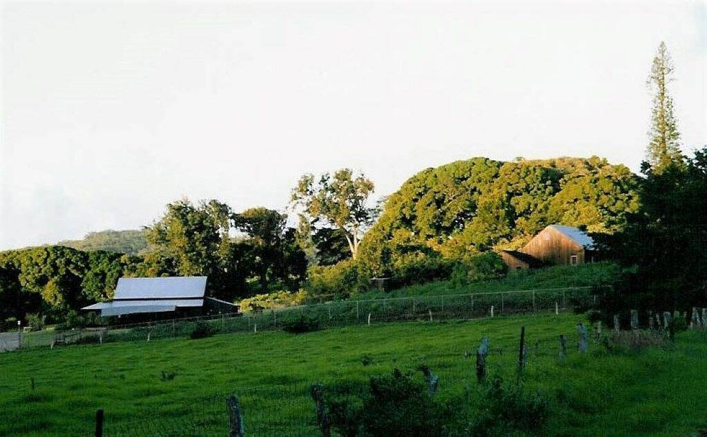 Cottage 1A Beachfront Vermietung - Molokai, Hawaii in Molokai