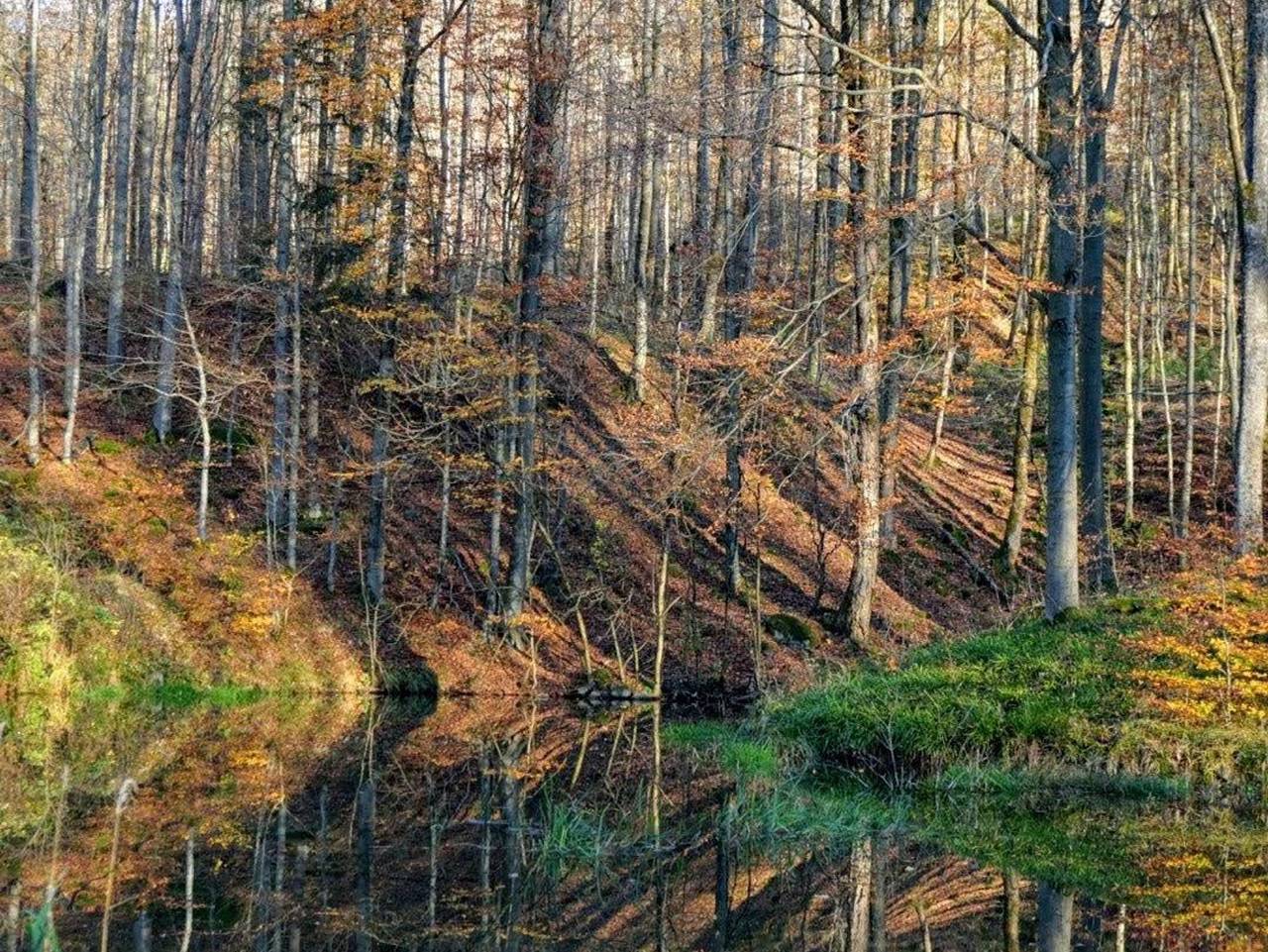 Ganze Ferienwohnung, Ferienhof Spiegel in Hilders, Rhön-Hessen