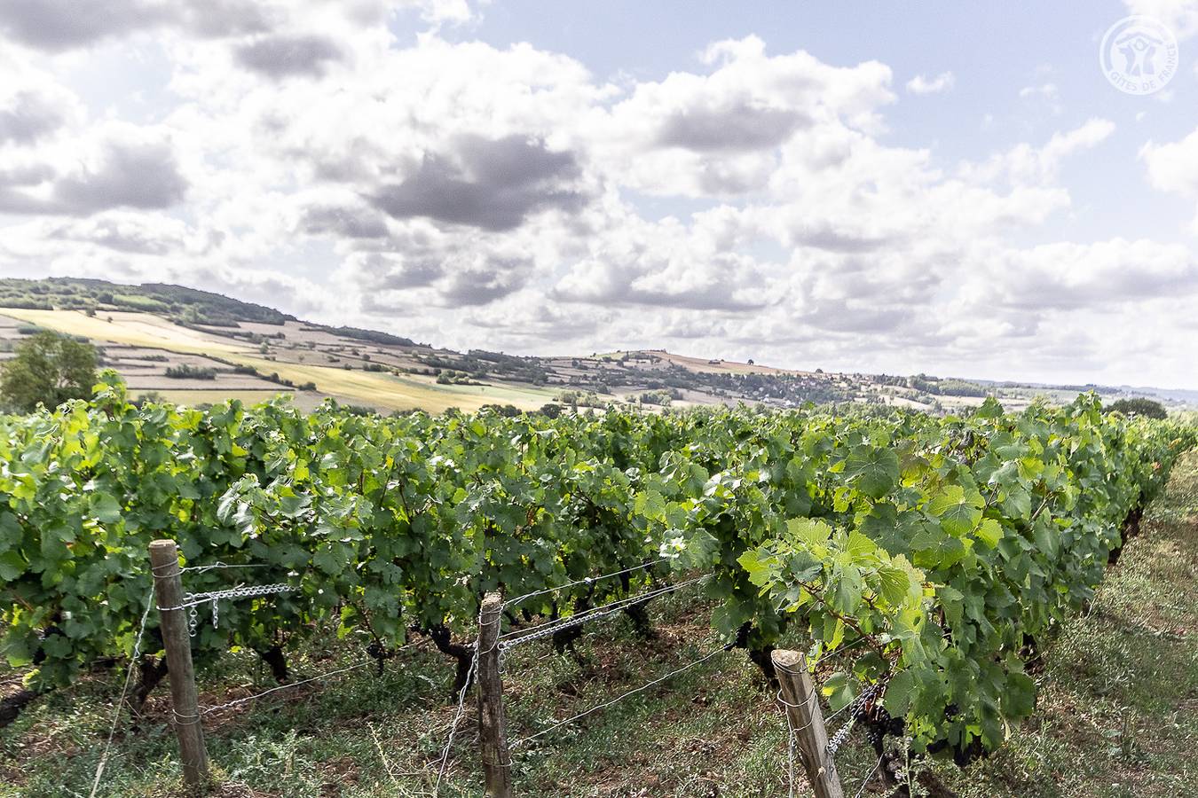 Chez les Vendangeurs in Cheilly-lès-Maranges, Région d'Autun