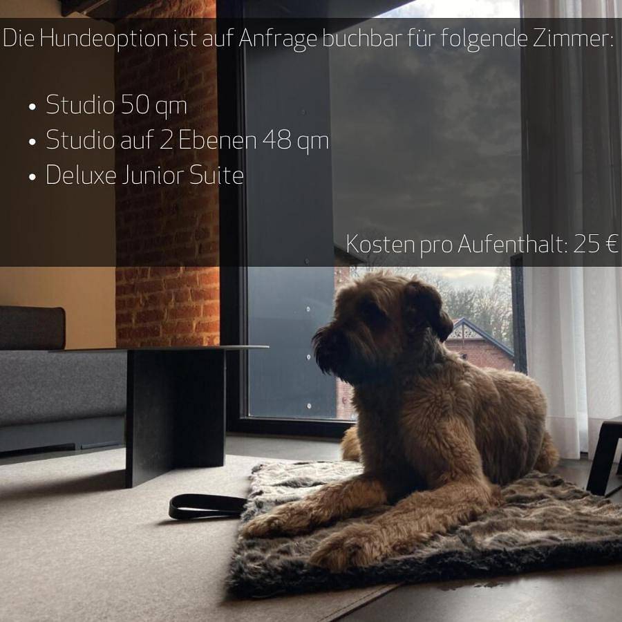 Pölter bei Markus T in Gütersloh, Nordrhein-Westfalen