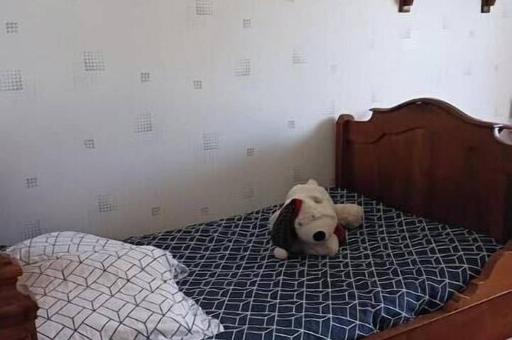 Location de vacances pour 7 personnes à Saint-Geoire-en-Valdaine - 2