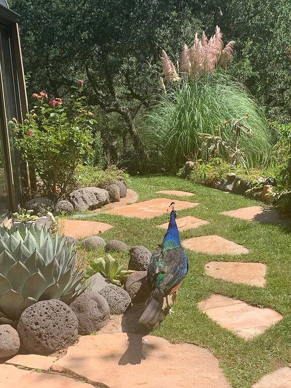 Ferienhaus für 6 Personen, mit Garten und Whirlpool - 1